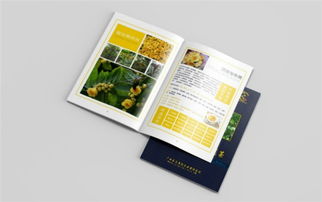 致青春 創(chuàng)意產品盒定制與廣告策劃，賀州專業(yè)代理代辦服務