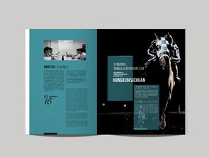 成都與創(chuàng)廣告 為鴻訊電力定制高端精品畫冊與軟件開發(fā)設計方案